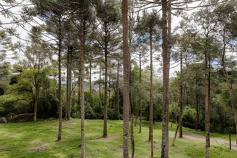 Lindo Chalé Com Lareira, Hidro e Próximo ao Centro